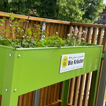באד ווייסי Pia Am See - Bio Design Appartement מראה חיצוני תמונה